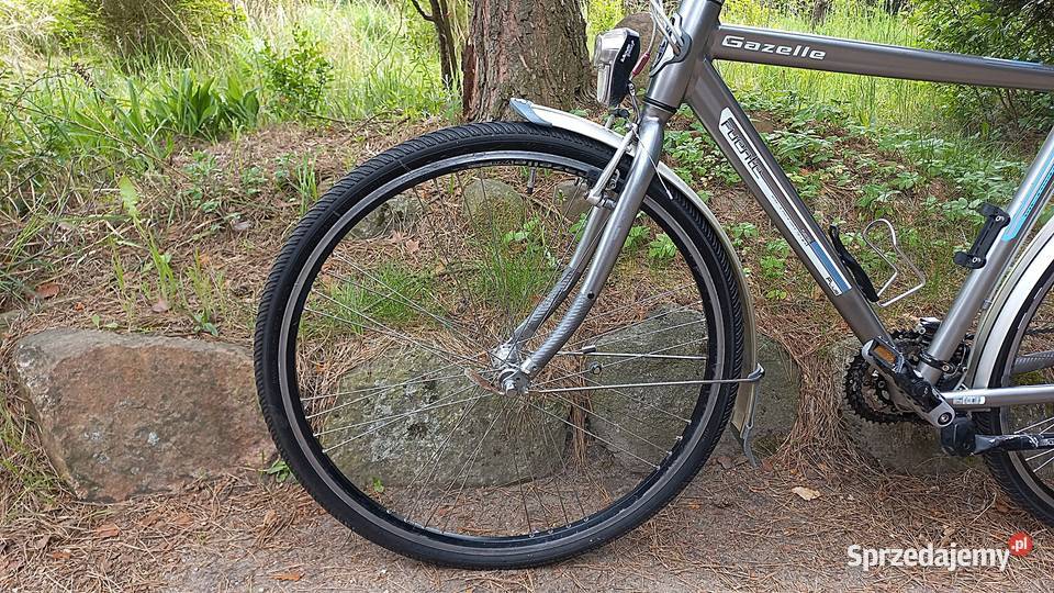 Alu Rower Miejski Męski Gazelle Fuente Plus V24 Wołów