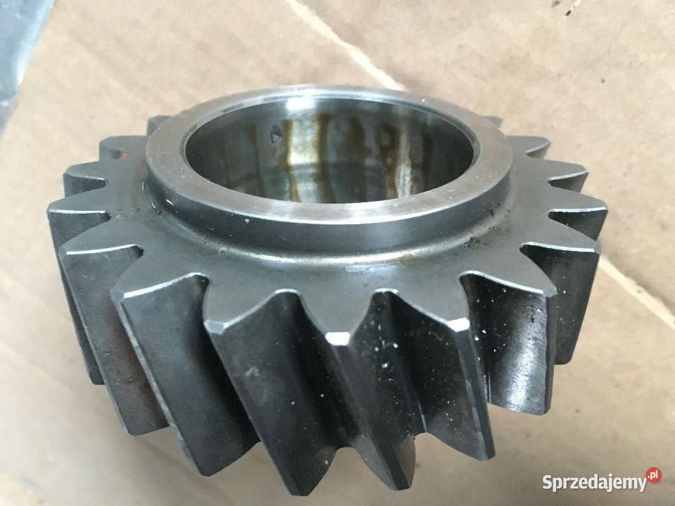 Zębatka Koło Wstecznego ZF 1315309005 Maszewo