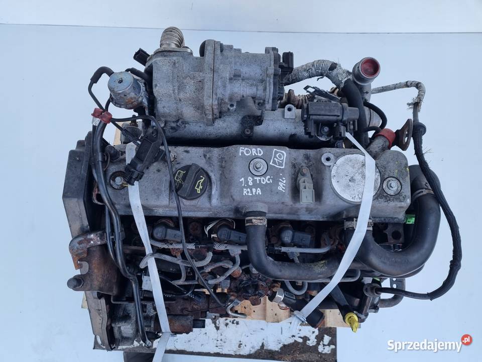 SILNIK KOMPLET Ford Transit Connect 18 TDCI 75 Rudka