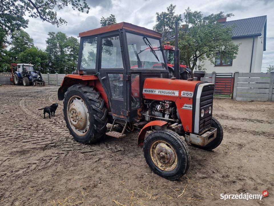 Massey ferguson 255 ursus 3512 c360 330 zetor sprzedam