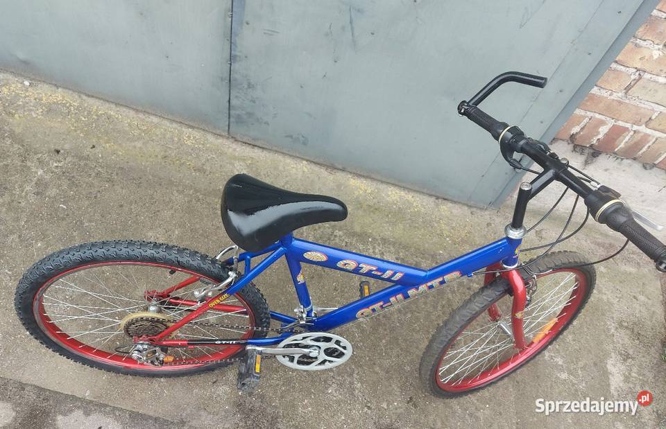 Rower 24 Górskie, MTB Płońsk