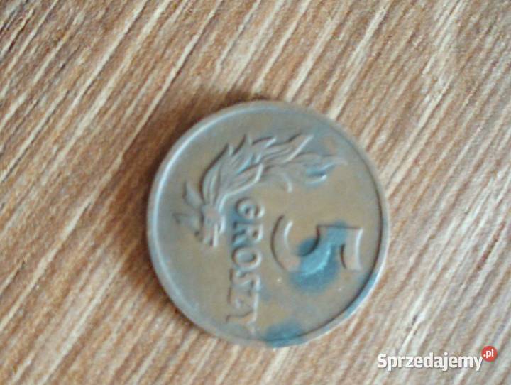 Sprzedam 5 gr 1949 r bzm Kolekcje sprzedam