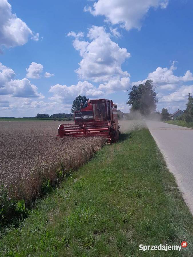 Kombajn zbożowy massey ferguson 560 nieuszkodzony Wola Zadybska sprzedam