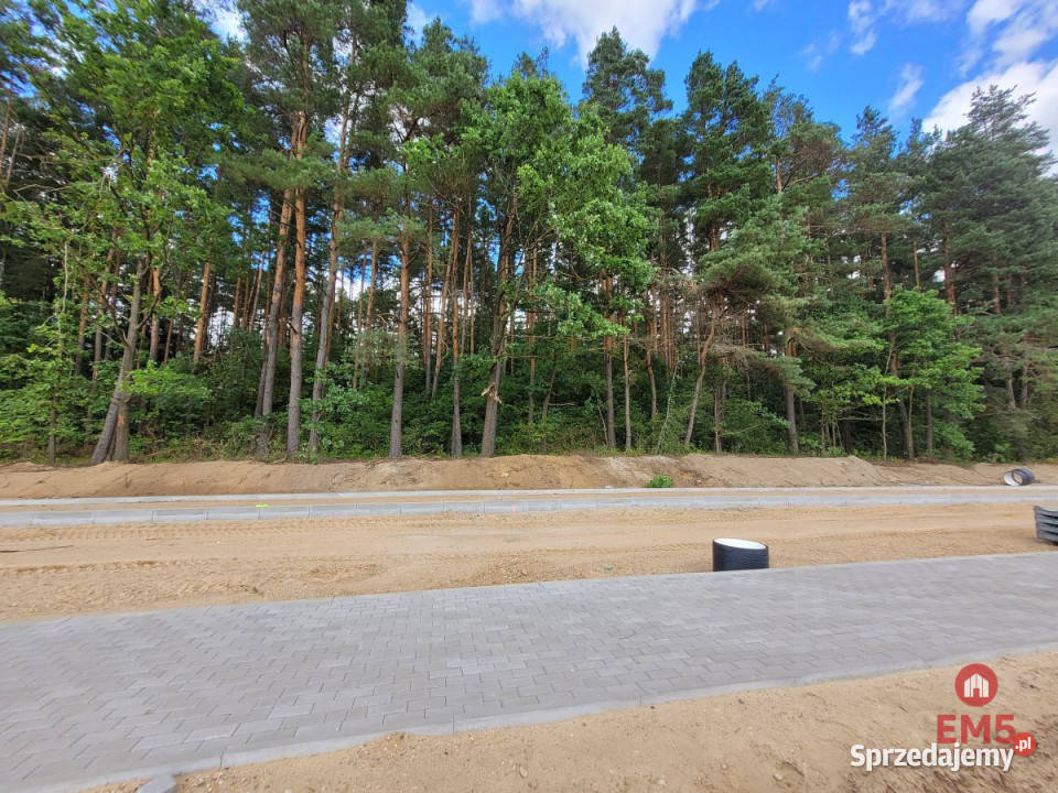 Grunt Olmonty 3300m2