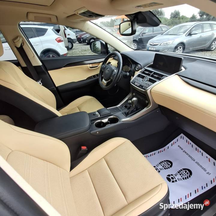 Lexus NX 300 Premium Niski przebieg Skóry Stan Chełm