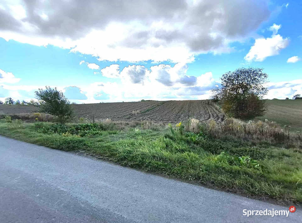 Działka 2841m2 Jakubowice Konińskie 2841m2 sprzedam