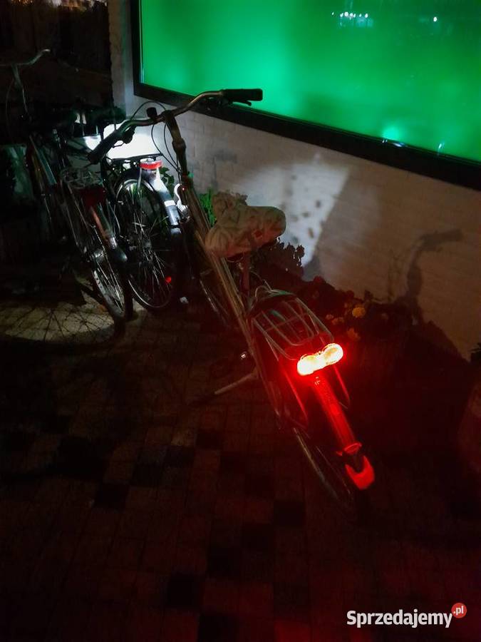 Gazelle Przywieziona z Holandii Miejskie Korbielów