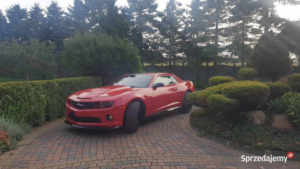 Sprzedam zamienię Camaro 36 v 6 ZL1 SS Rok produkcji 2010 Koszalin