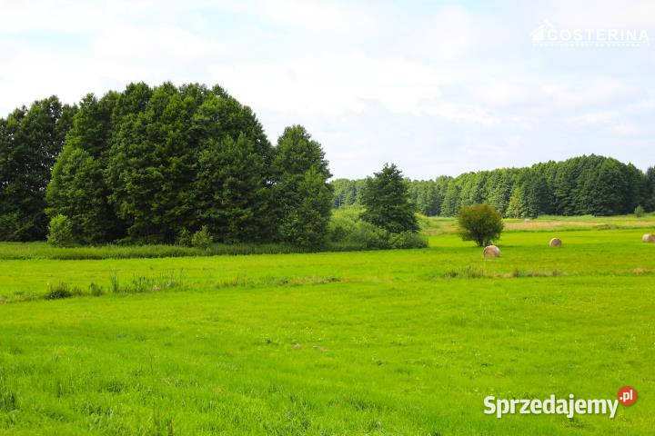 Grunt do sprzedania Stara Kiszewa 1129m2 budowlana