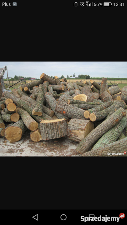 Drewno opałowe kominkowe Kębłowo