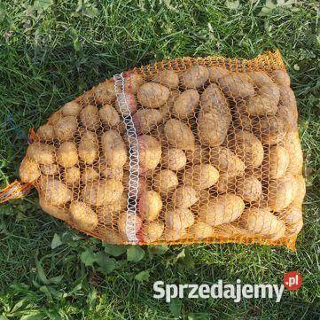 Ziemniaki Jadalne żółte i czerwone dużo odmian Pozostałe sprzedam