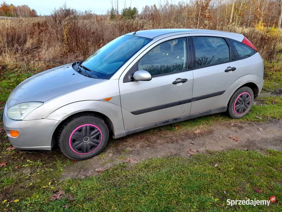 Ford Focus 14 Focus Połaniec
