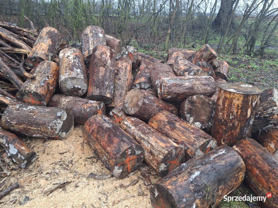 sprzedam opal lubuskie Podła Góra