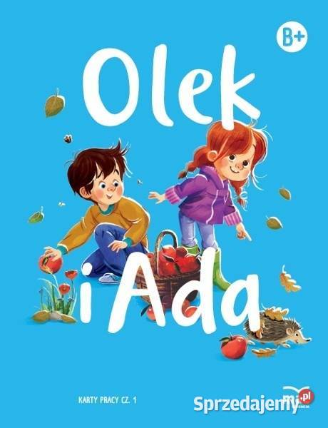 OLEK i ADA B pakiet 6 latka Podręczniki Kraków