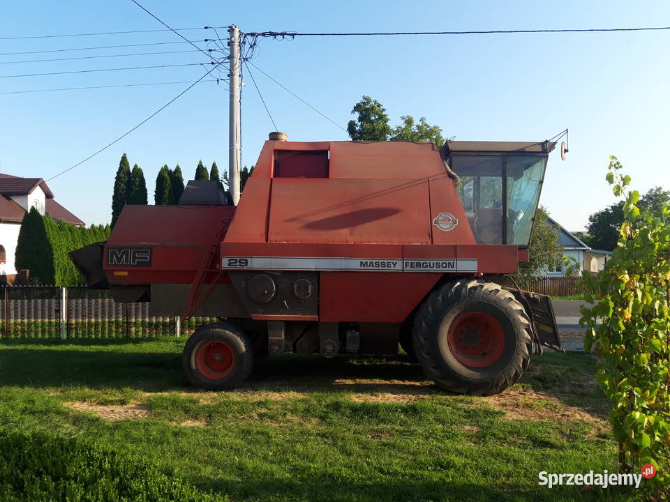 MF 29 Dronningborg 7500 Massey Ferguson Zbożowe lubelskie Szczebrzeszyn