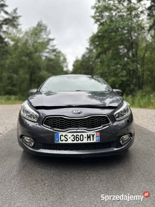 Kia Ceed 16 GDI 135 2013 Panorama Skóra Pamięć Cee'd świętokrzyskie Mniów sprzedam