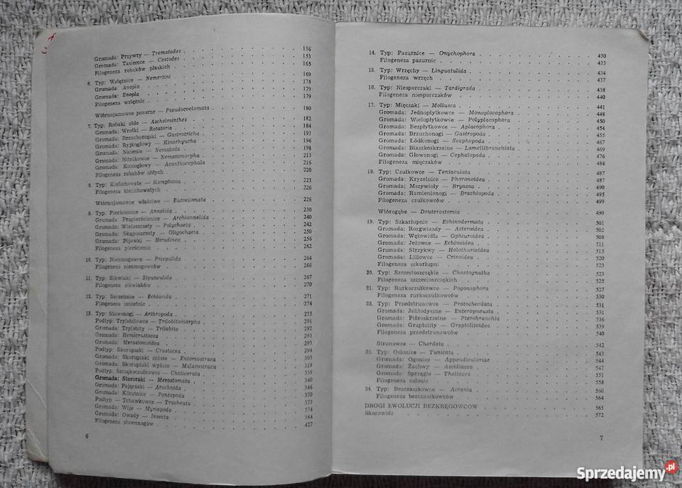 Bezkręgowce Czesław Jura Białystok