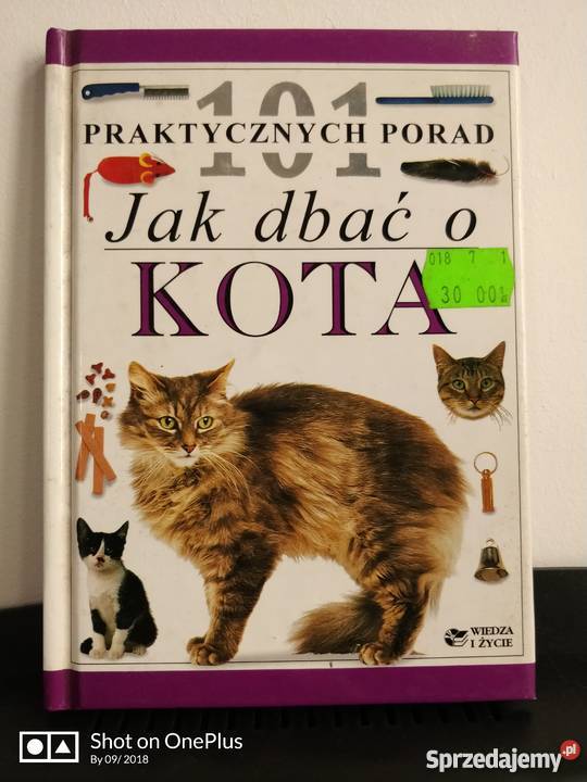 Książka zwierzęta Koty Przewodnik Nysa