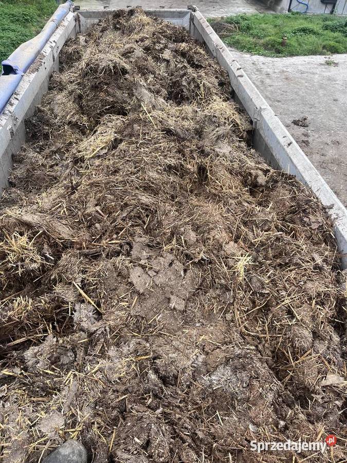 Przegniły obornik bydleco koński mieszany 25t Mikołów