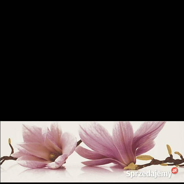 Dekor Abrila Kwiat A 20 x 60 Paradyż aktualne