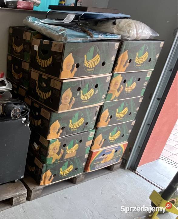 Paleta kartonów z Niemiec 20 Pozostałe Choszczno
