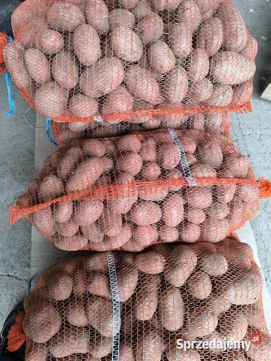 Ziemniaki czerwone podkarpackie Bobrowa sprzedam