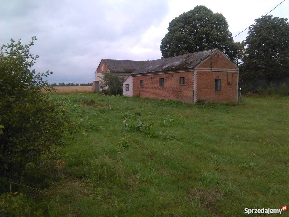 Sprzedam działke z zabudowaniem Zakalew