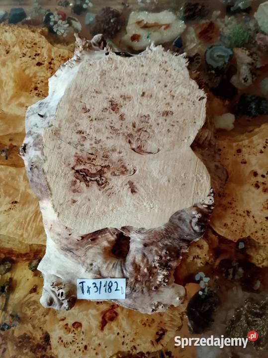 Topola czeczot plaster deska Nowy Tomyśl