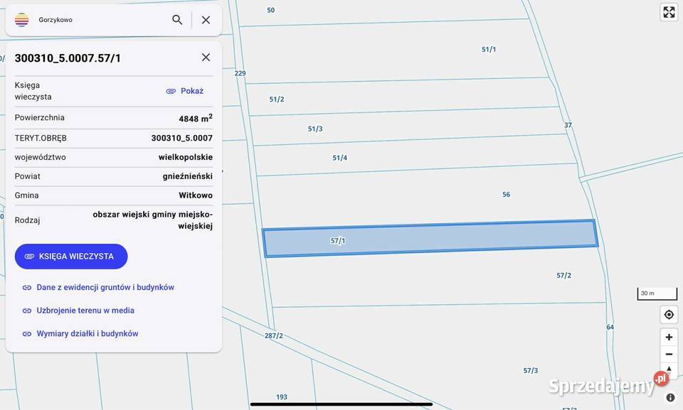 Sprzedam ziemię rolną wielkopolskie Witkowo