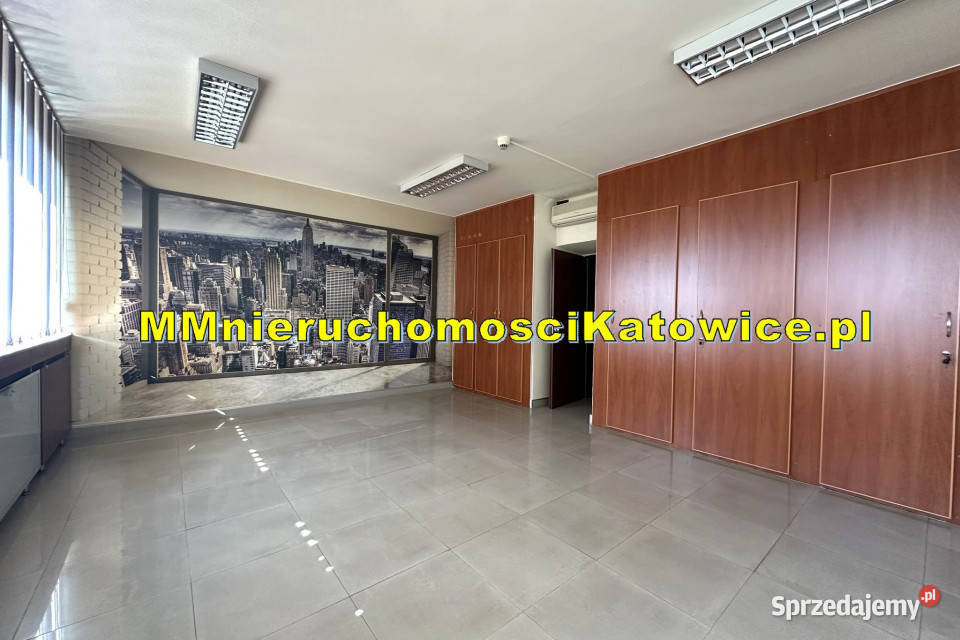 Biurowiec do wynajęcia Katowice Szopienice