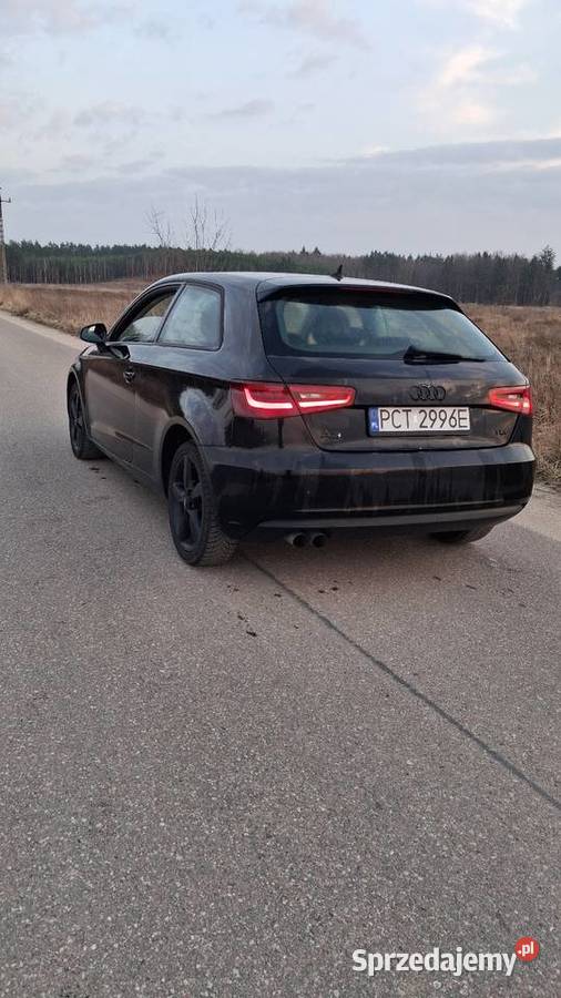 Audi A3 8V Rok produkcji 2014 Trzcianka