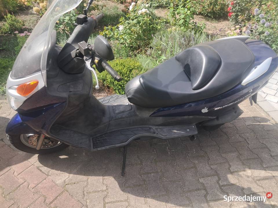 Suzuki burgmann 125 sprowadzony wielkopolskie