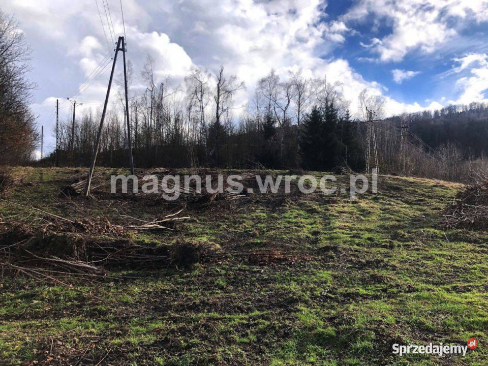 Działka budowlana z pięknym widokiem 2827m2 dolnośląskie Łomnica