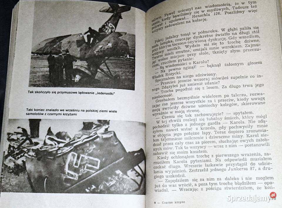 Czarne krzyże Polską Stanisław Skalski Chełm