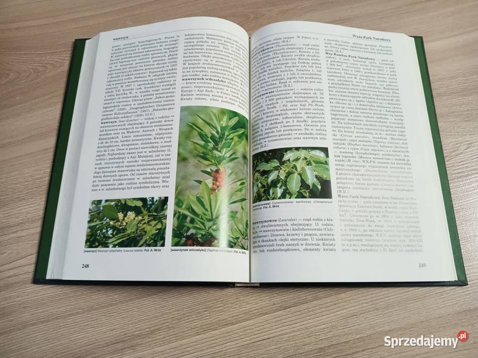 Encyklopedia Biologiczna Tom XI TkWr Kraków