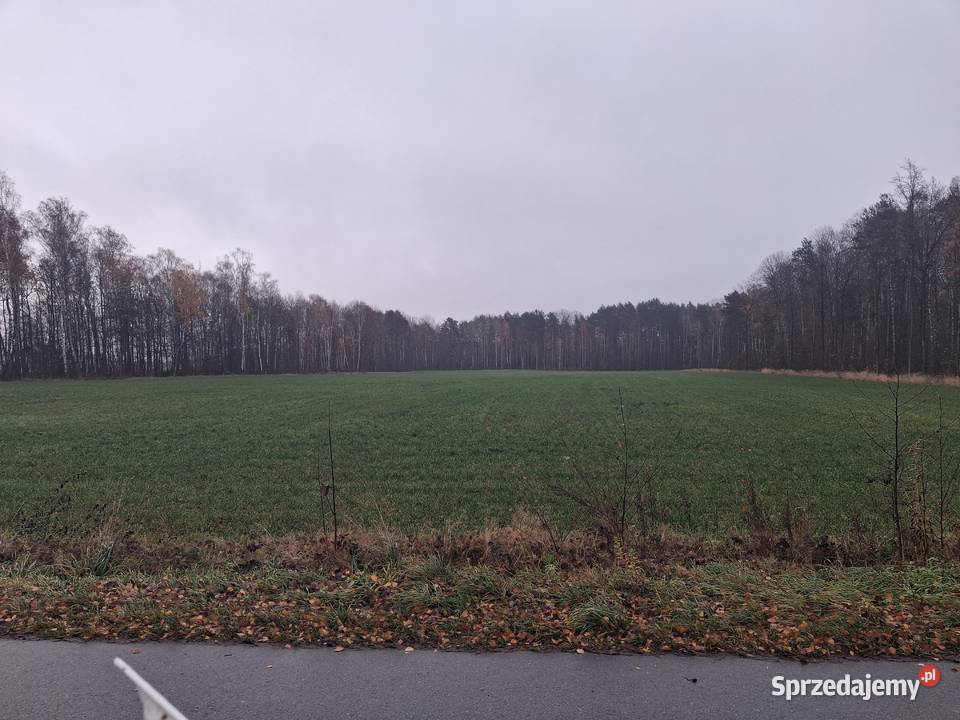 Działkałąkaziemia 320h 140625zł/m2 Zambrów