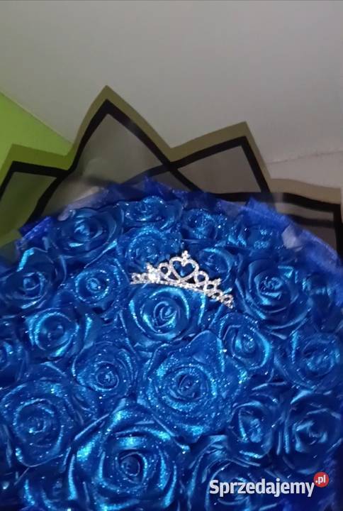 Róża wieczna Radom