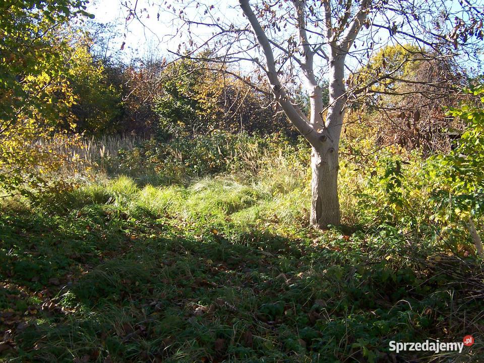 Katowice Podlesie 5 działek dom na sprzedaż