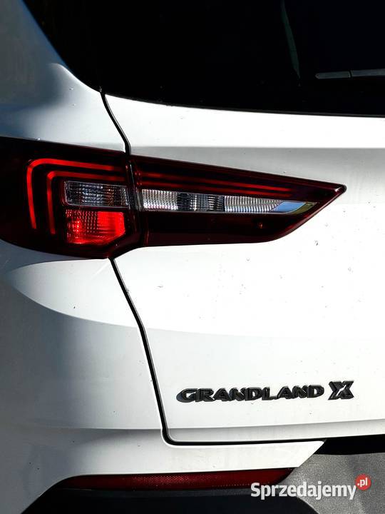 Opel Grandland X bluetooth Radom