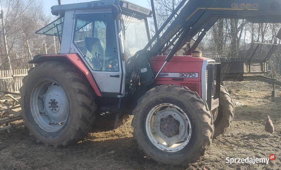 Massey Ferguson 3070 tur Agram Uniejów