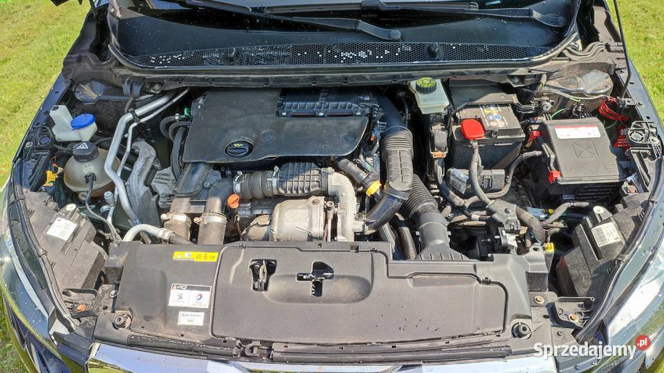 PEUGEOT 308 16 BLUEHDI 120 Bogoria