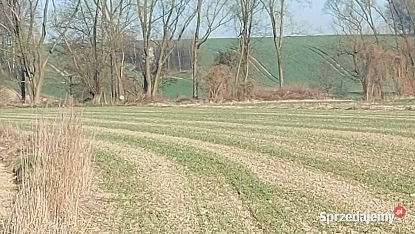 Udział w prawie własności do nieruchomości 17zł/m2 Wieprz