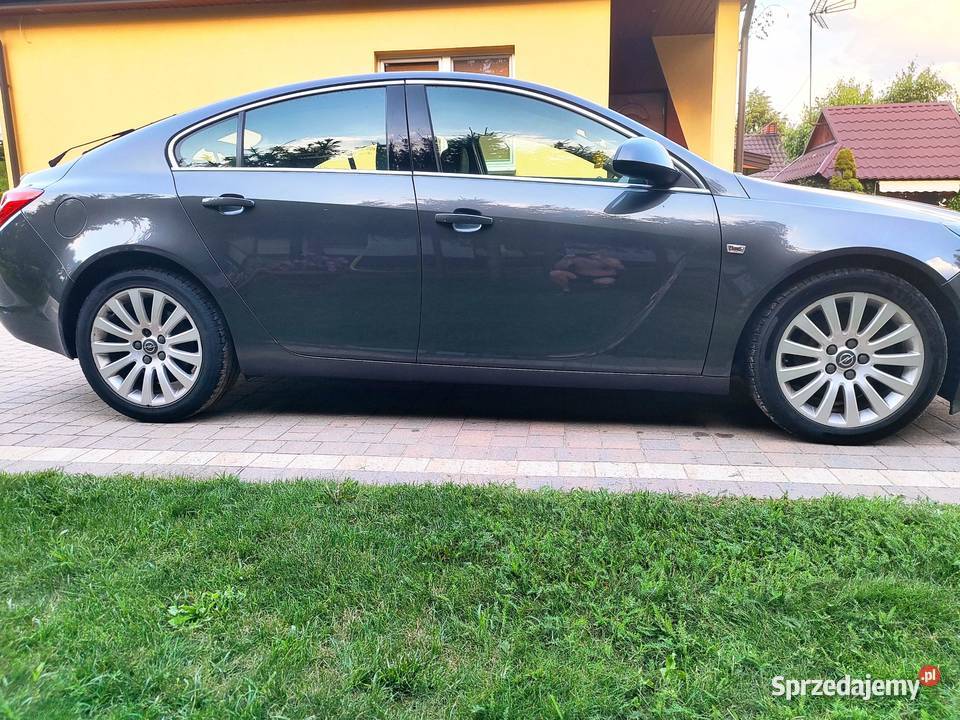 OPEL Insignia A 20 CDTI Sport Brzóza