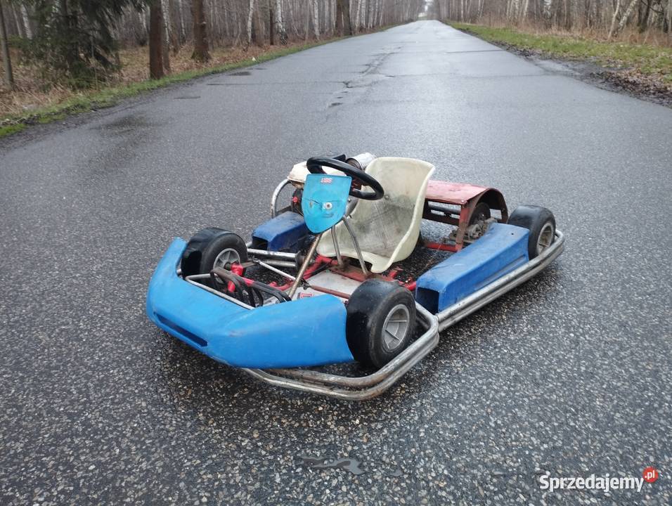 Gokart Dino markowy junior sprawny honda gx 120 Knurów