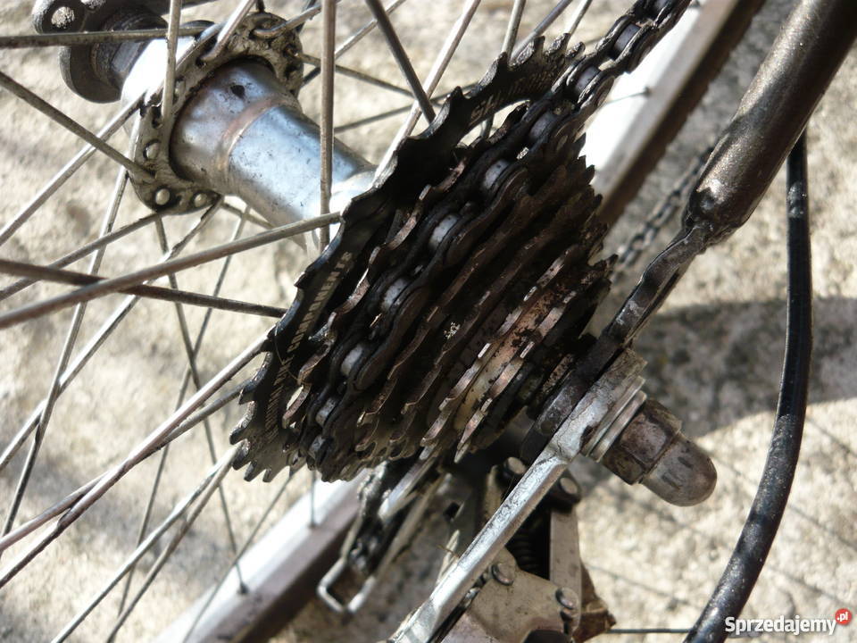 Rower męski szosowoterenowy Active 26 Rowery Wrocław