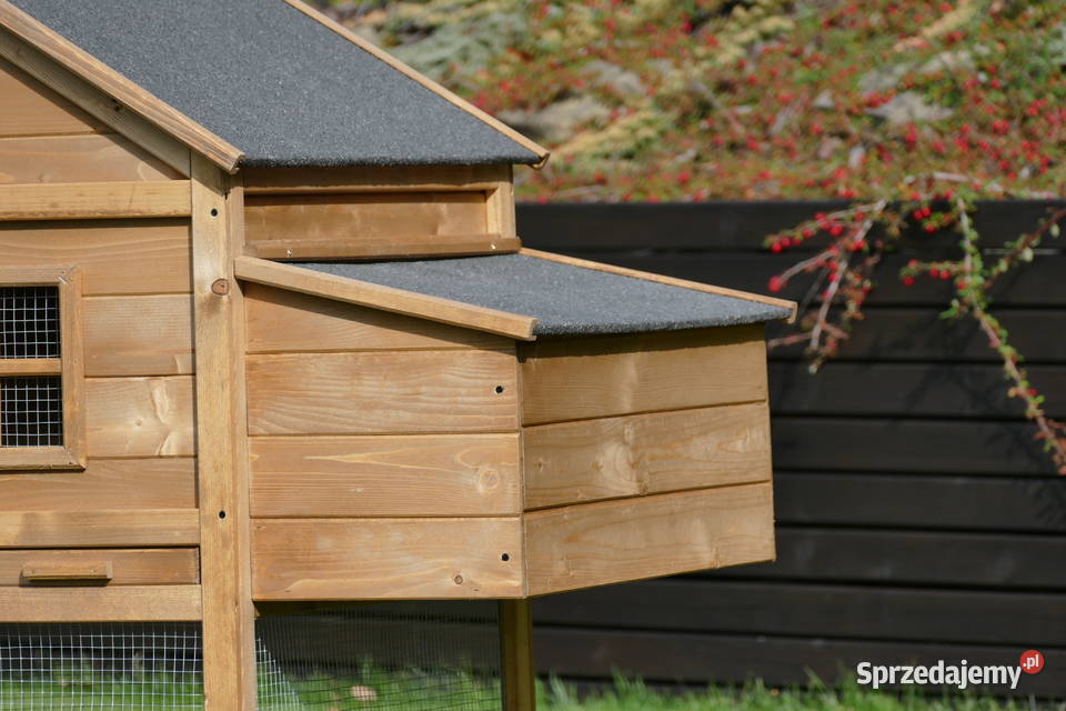 DOSTAWA Kurnik kur PALACE z PAPĄ 2 parki Trzemeśnia