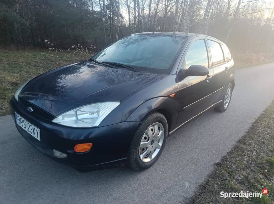 Ford Focus 16 BenzynaZadbanyBez Korozji podkarpackie Sędziszów Małopolski