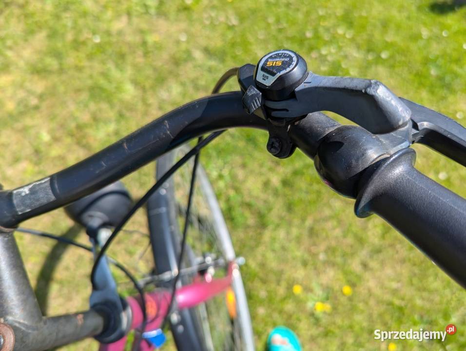 Rower damka niemiecki klasyk Ksawerów