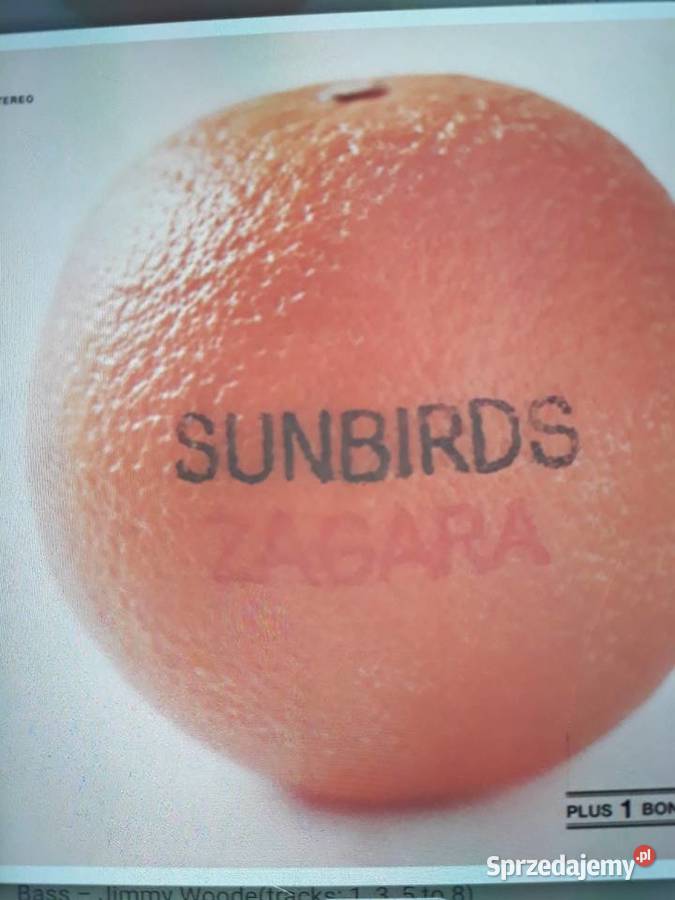 Archiwum jazz rocka SUNBIRDS Zagara 1973 podkarpackie