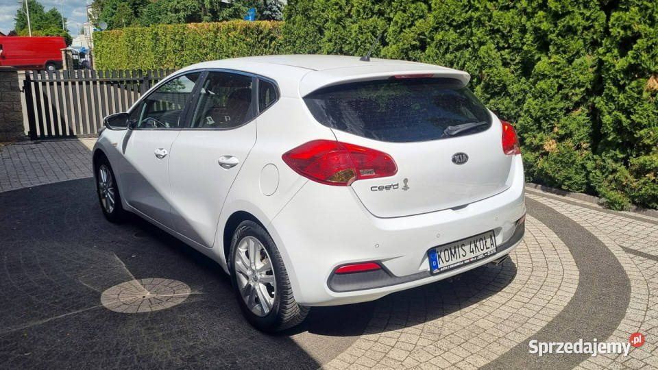 Kia Ceed Serwis Prosty Silnik Klima GWARANCJA 4/5 mazowieckie Płońsk